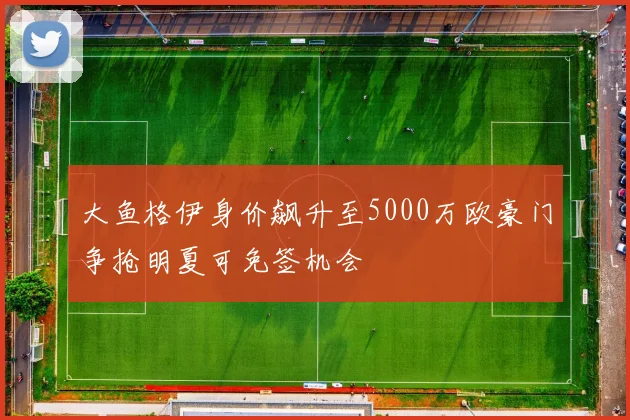 大鱼格伊身价飙升至5000万欧豪门争抢明夏可免签机会