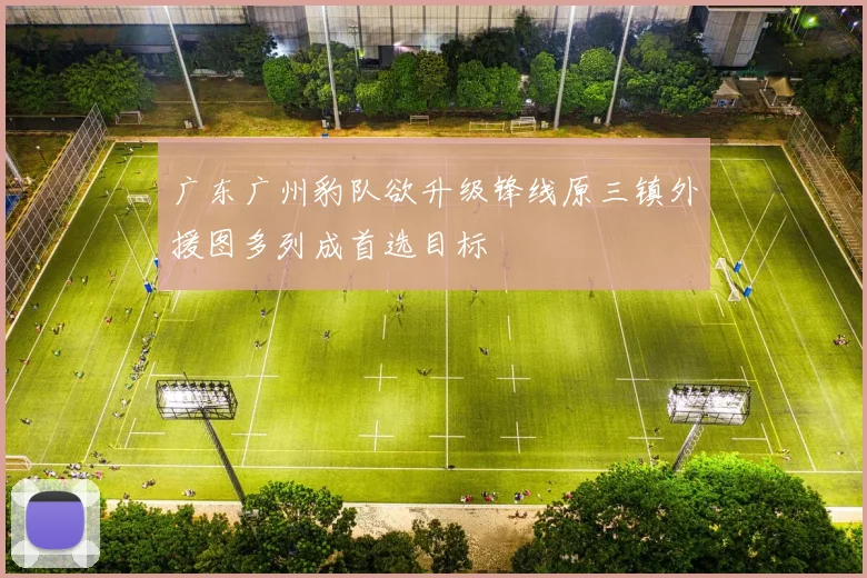 广东广州豹队欲升级锋线原三镇外援图多列成首选目标