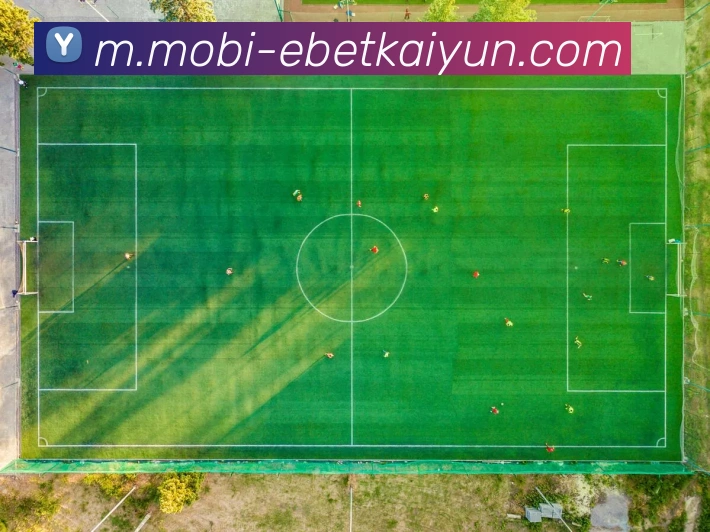 易倍体育平台生态图